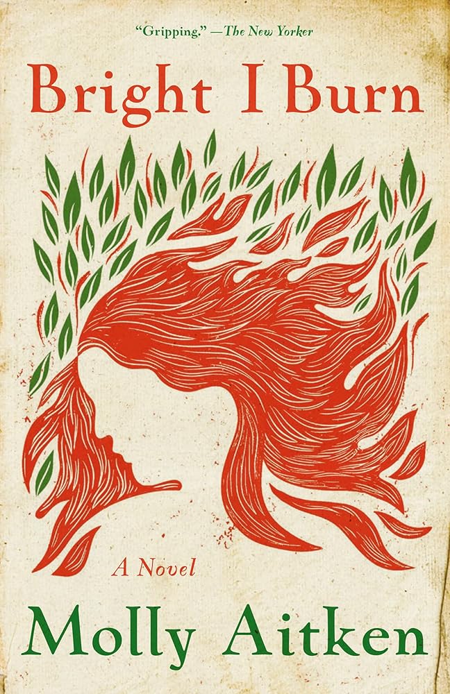 Bright I Burn: A Novel cover image