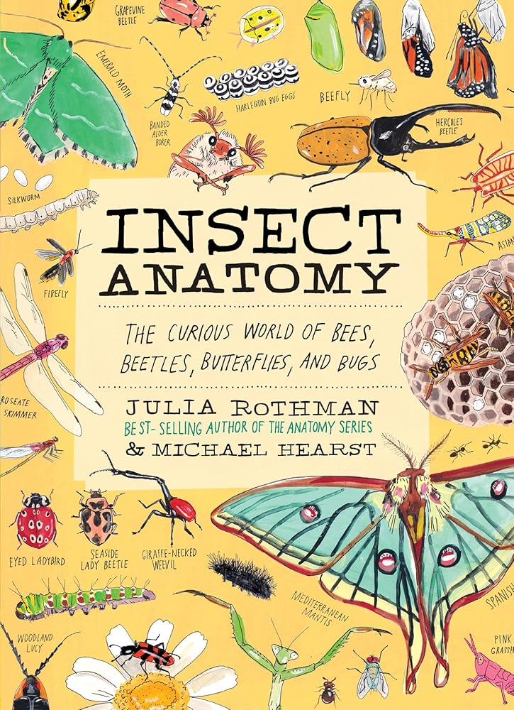Insect Anatomy: The Curious World of Bees, Beetles, Butterflies, and Bugs cover image