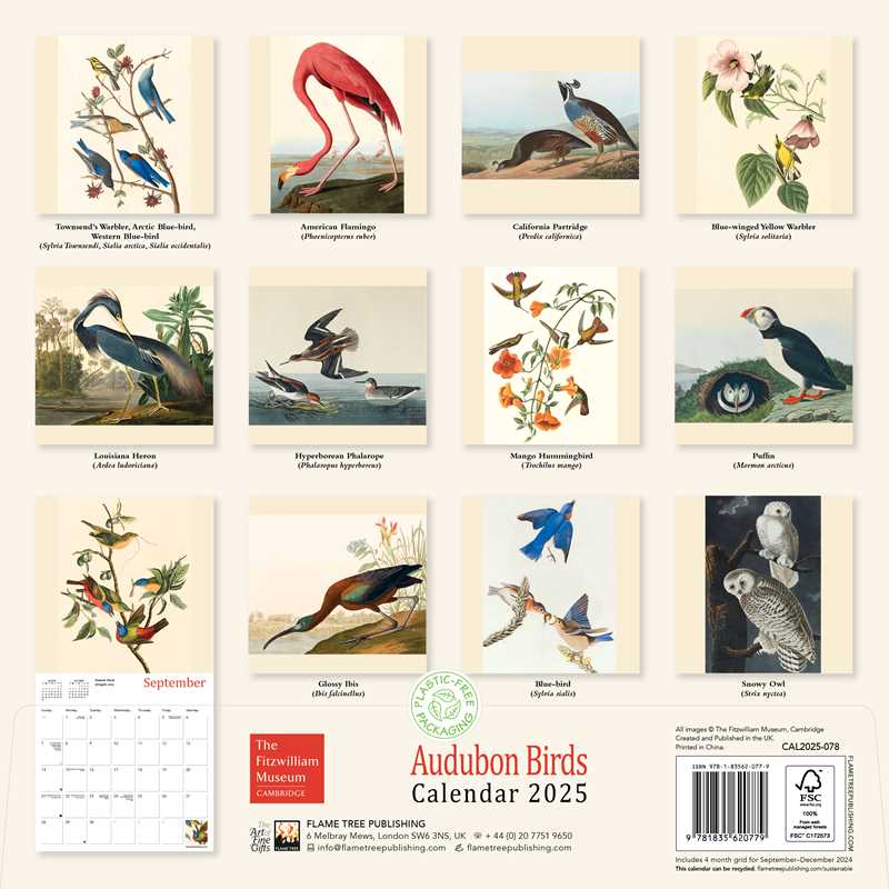 Fitzwilliam Museum: Audubon Birds Wall Calendar 2025 (Art Calendar) by