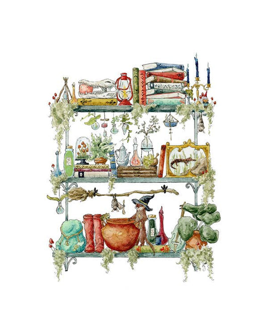 The Swamp Witch's Shelves Postcard