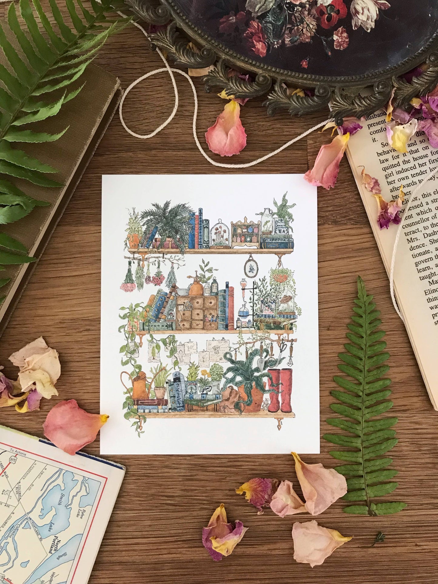 The Botanist's Shelves Postcard