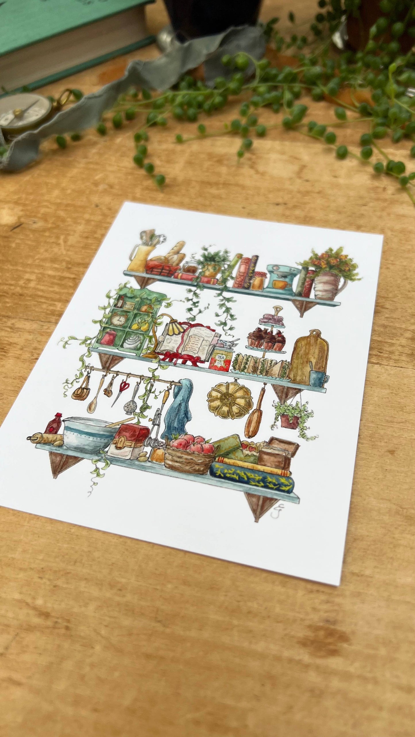 The Baker's Shelves Postcard