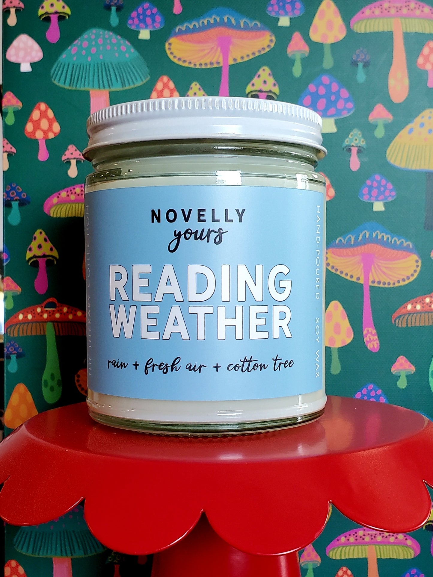 Reading Weather - Novelly Yours Candle