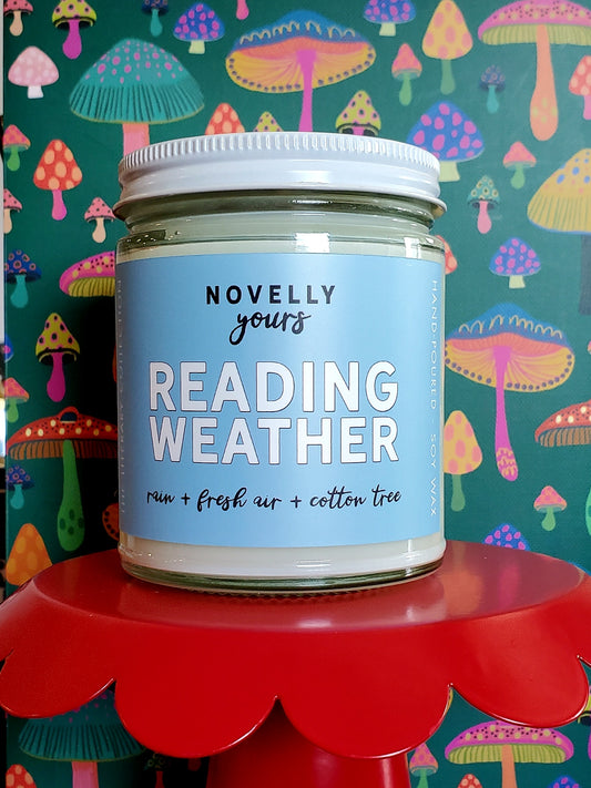 Reading Weather - Novelly Yours Candle