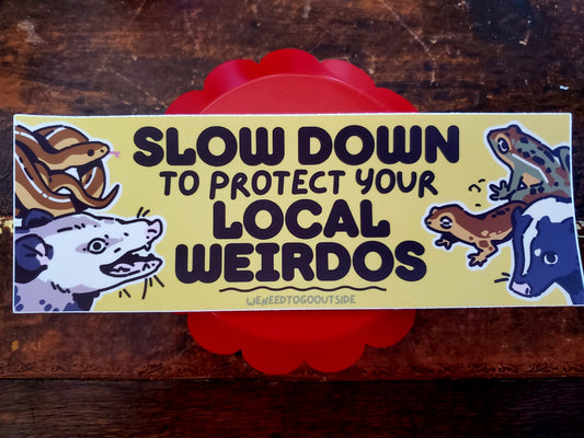 Slow Down bumper sticker