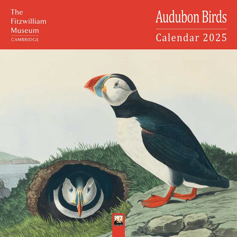 Fitzwilliam Museum: Audubon Birds Wall Calendar 2025 (Art Calendar) by