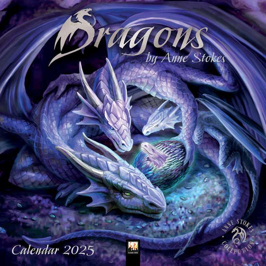 Dragons by Anne Stokes Wall Calendar 2025 (Art Calendar) by