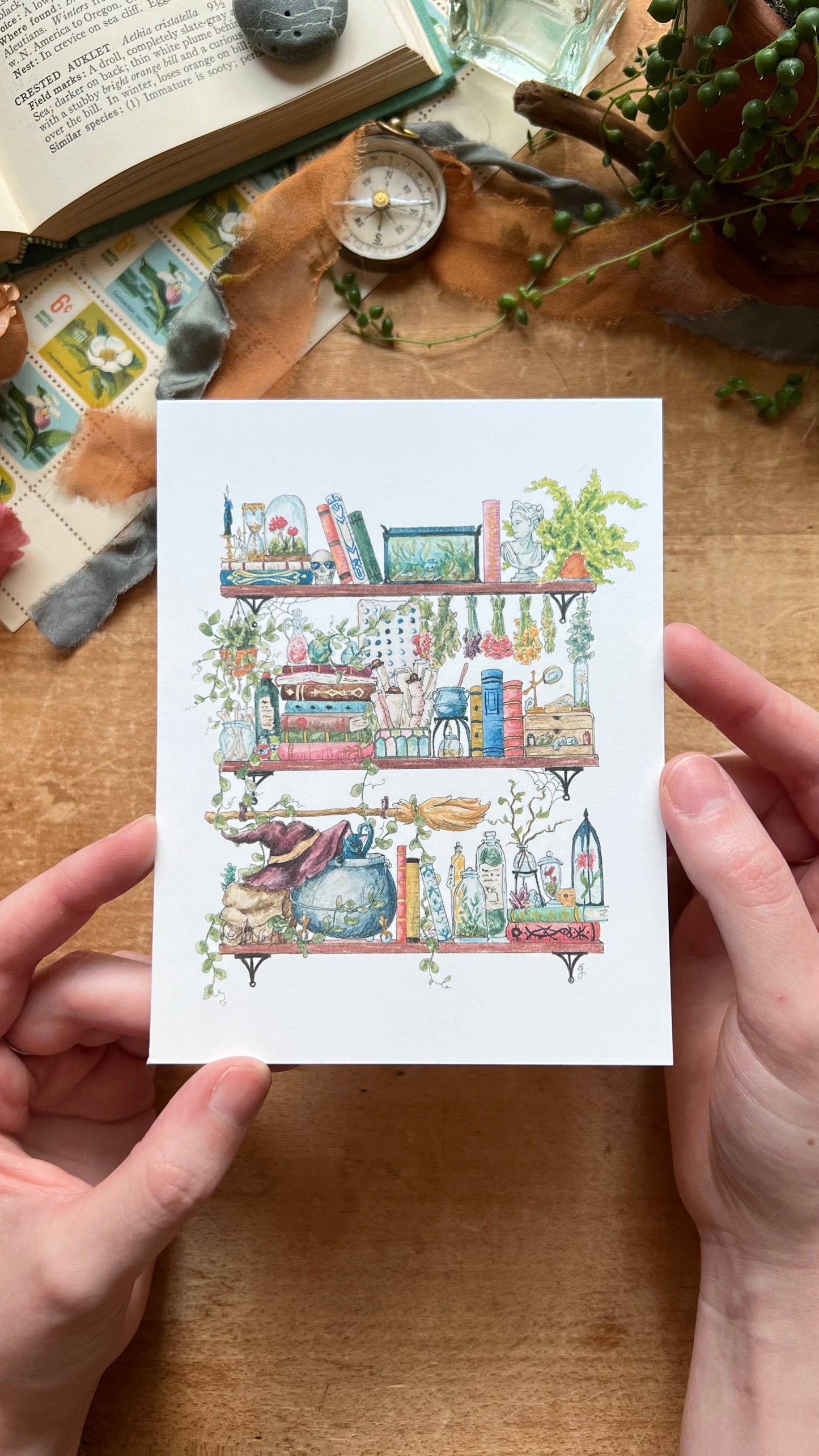 The Witch's Shelves Postcard