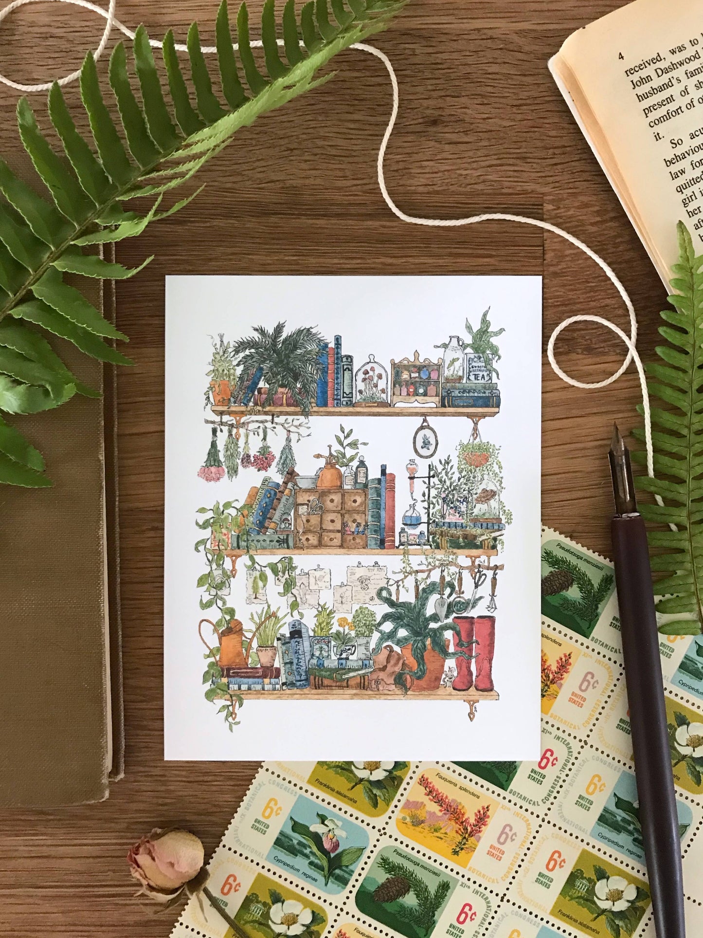 The Botanist's Shelves Postcard