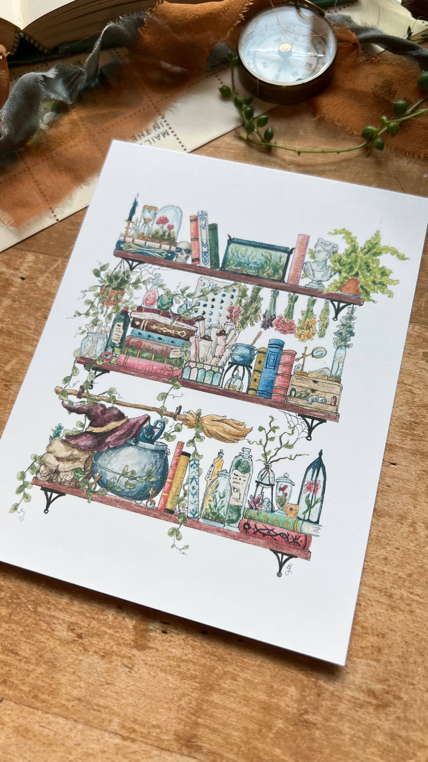 The Witch's Shelves Postcard