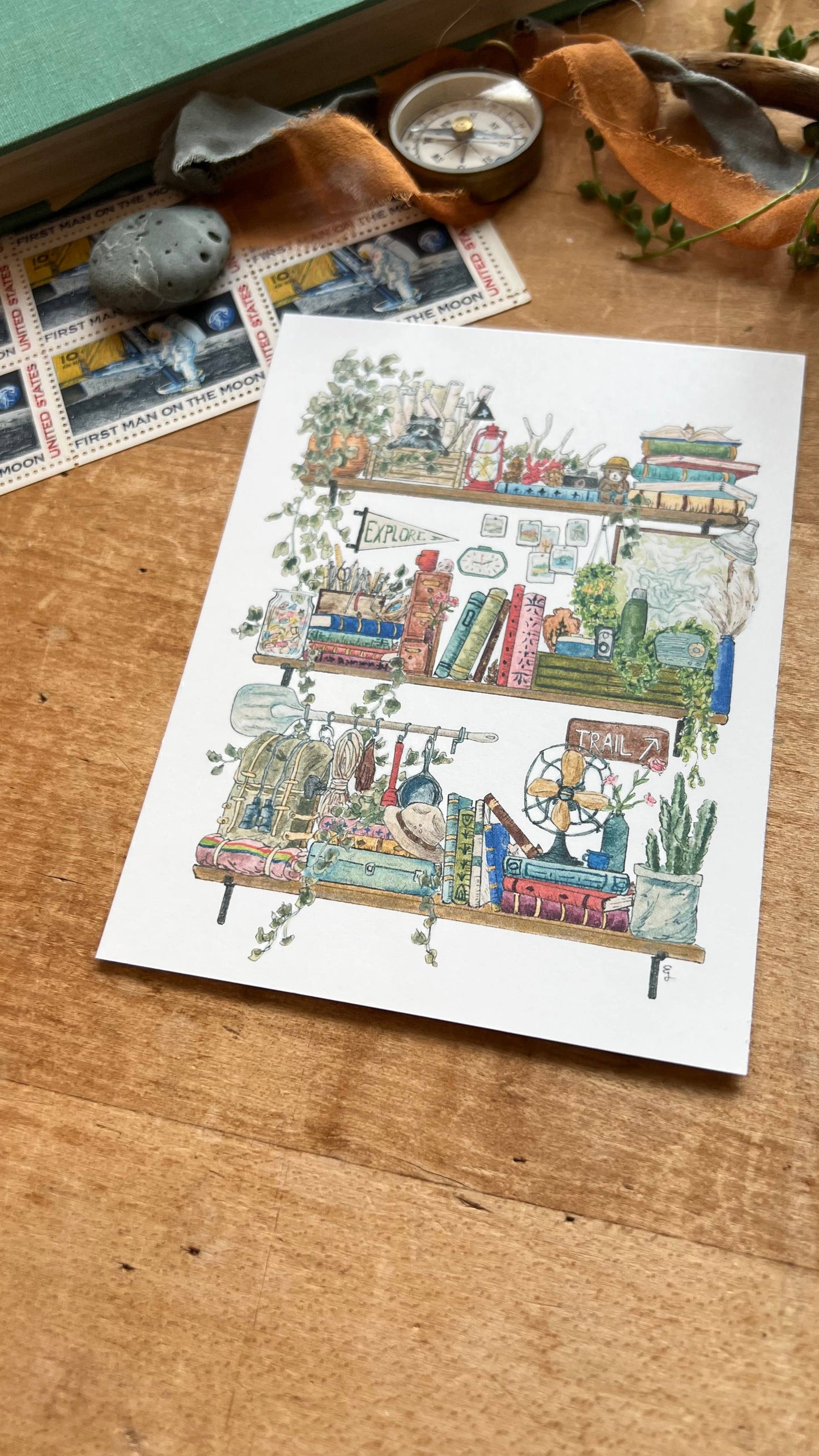 The Park Ranger's Shelves Postcard