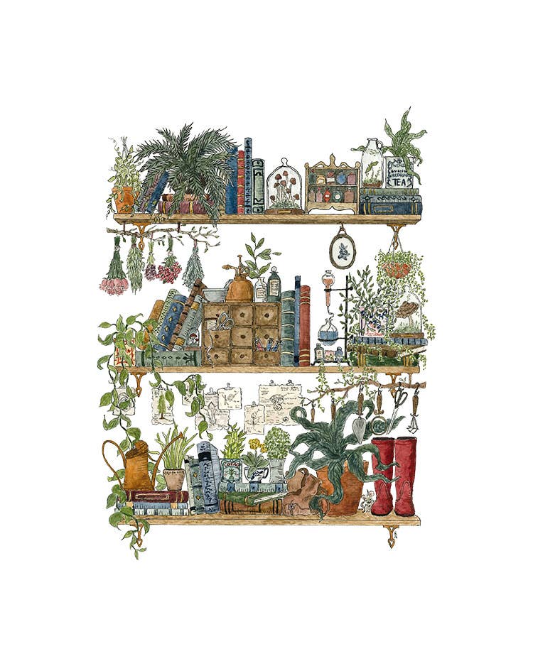 The Botanist's Shelves Postcard