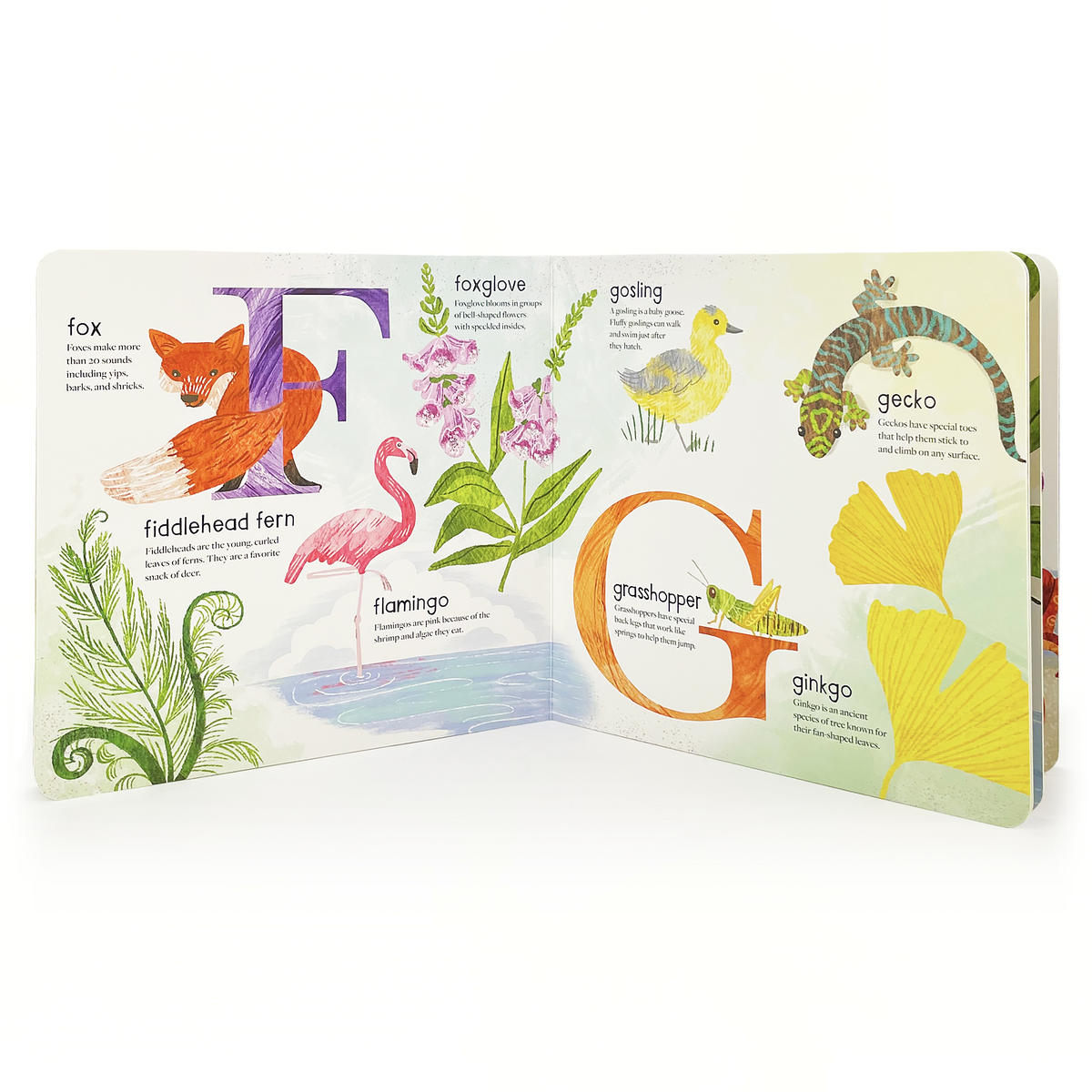 ABC of Nature: A Wild & Wonderful Alphabet