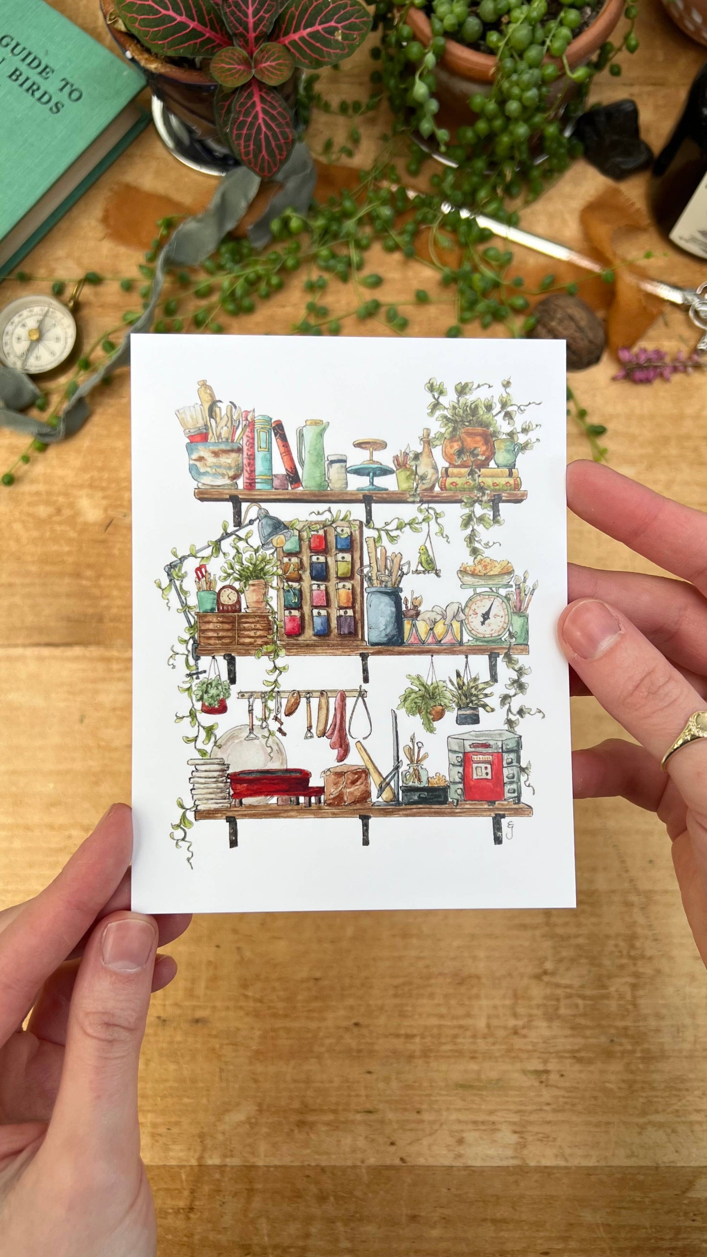 The Potter's Shelves Postcard