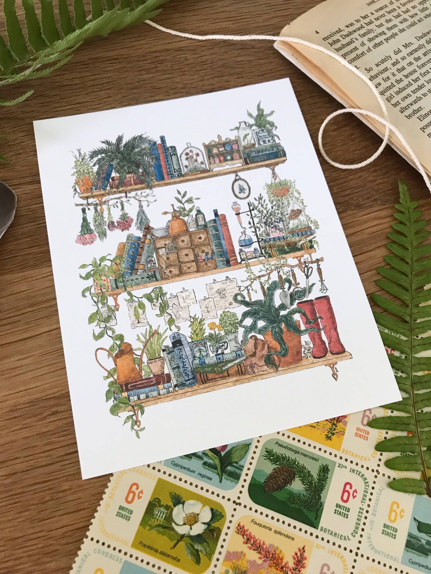 The Botanist's Shelves Postcard