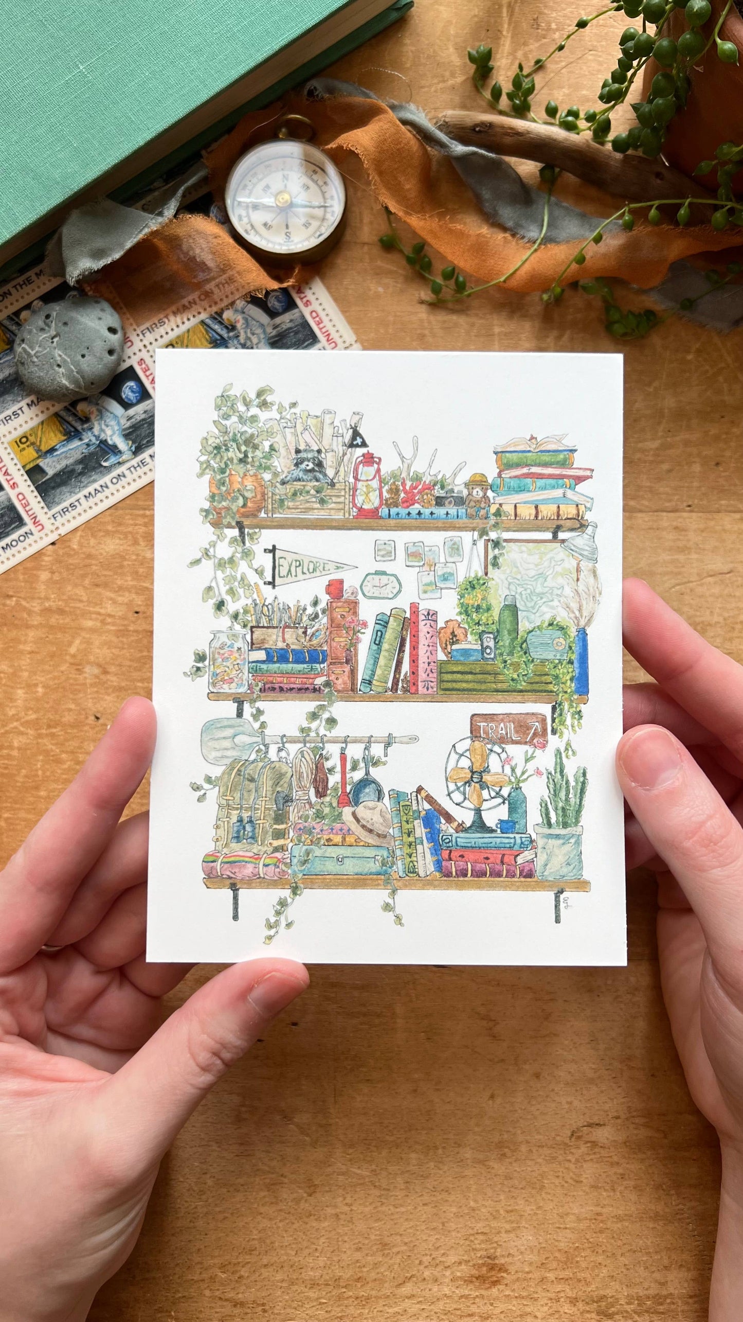 The Park Ranger's Shelves Postcard