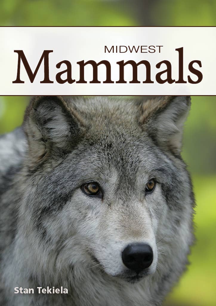 Mammals of Midwest Playing Cards