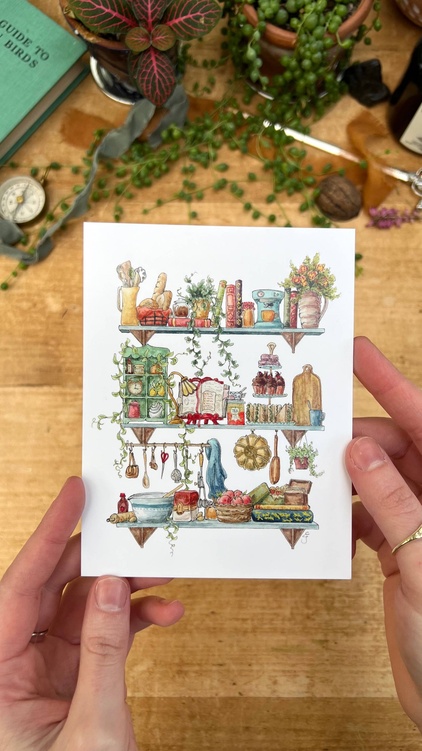 The Baker's Shelves Postcard