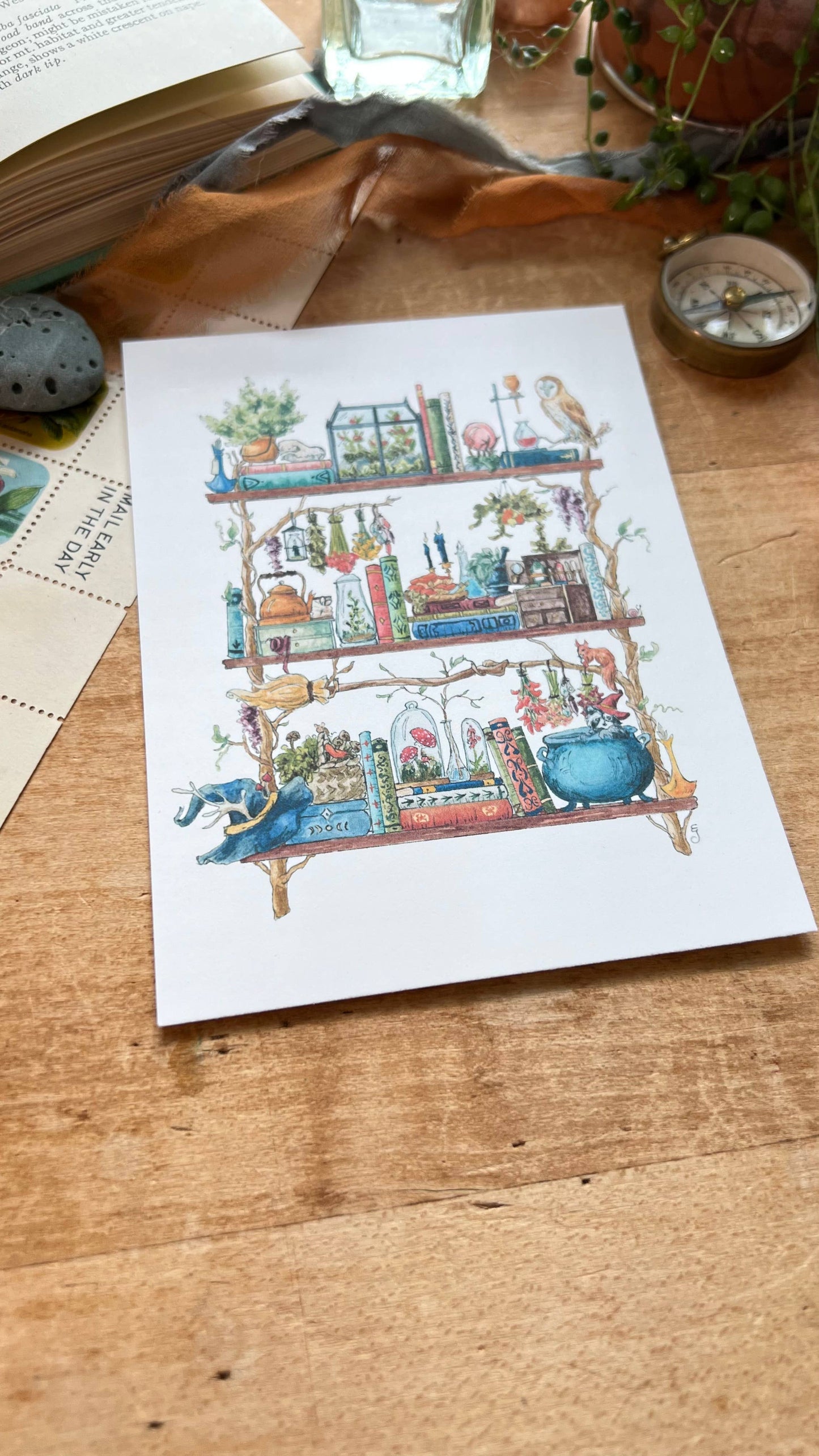 The Forest Witch's Shelves Postcard