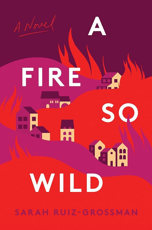 A Fire So Wild: A Novel cover image