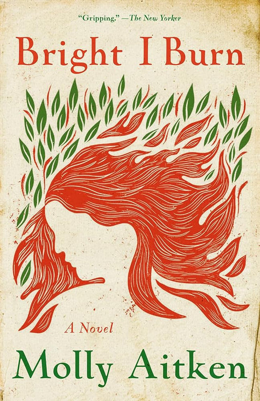 Bright I Burn: A Novel cover image