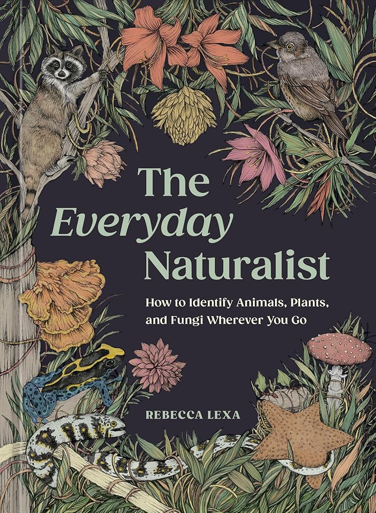 The Everyday Naturalist: How to Identify Animals, Plants, and Fungi Wherever You Go cover image