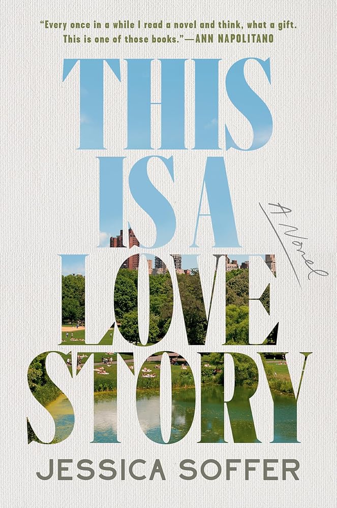 This Is a Love Story: A Novel cover image