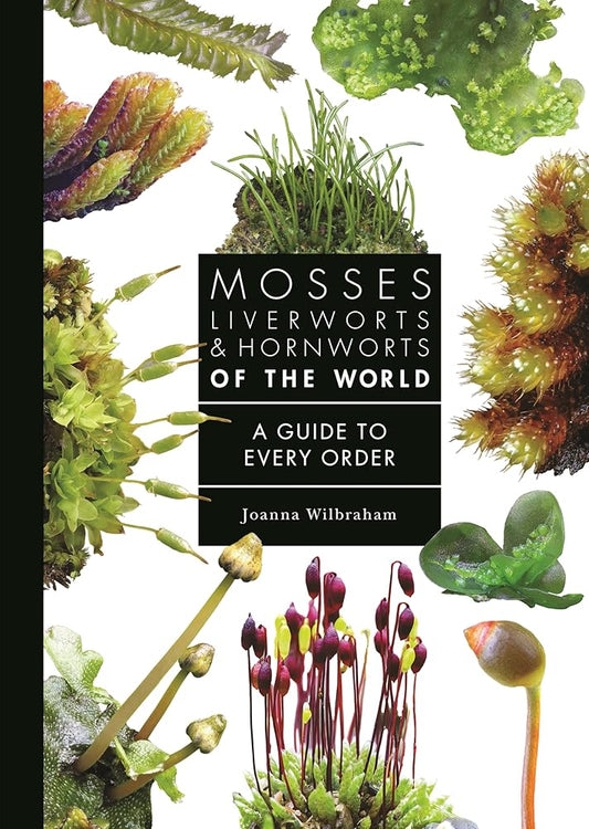 Mosses, Liverworts, and Hornworts of the World: A Guide to Every Order (A Guide to Every Family) cover image