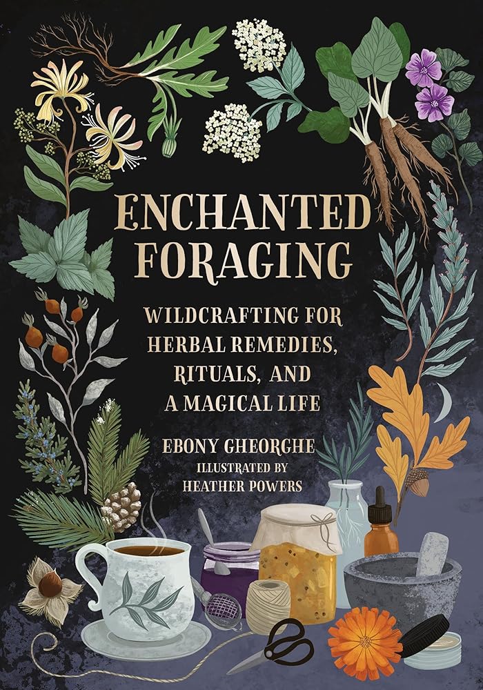 Enchanted Foraging: Wildcrafting for Herbal Remedies, Rituals, and a Magical Life cover image