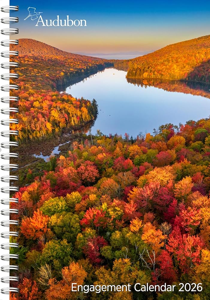 Audubon Engagement Calendar 2026: A Tribute to Nature and Its Spectacular Landscapes cover image