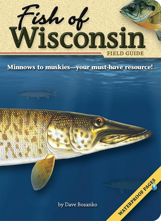 Fish of Wisconsin Field Guide (Fish Identification Guides) cover image