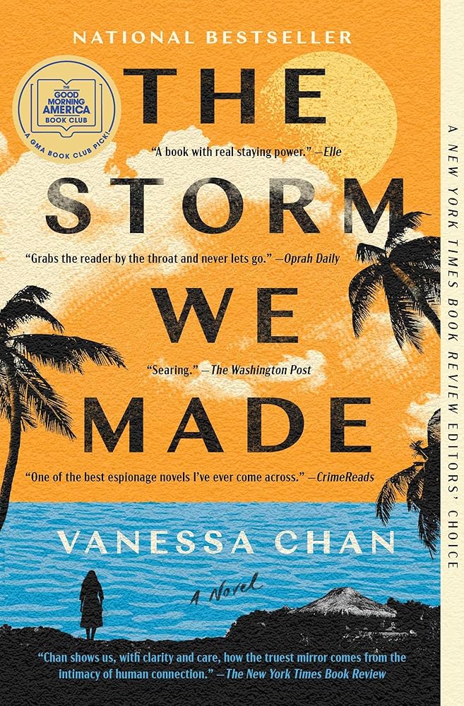 The Storm We Made: A Novel cover image