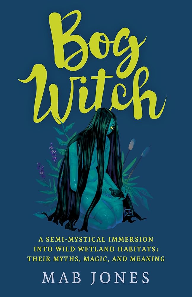 Bog Witch cover image