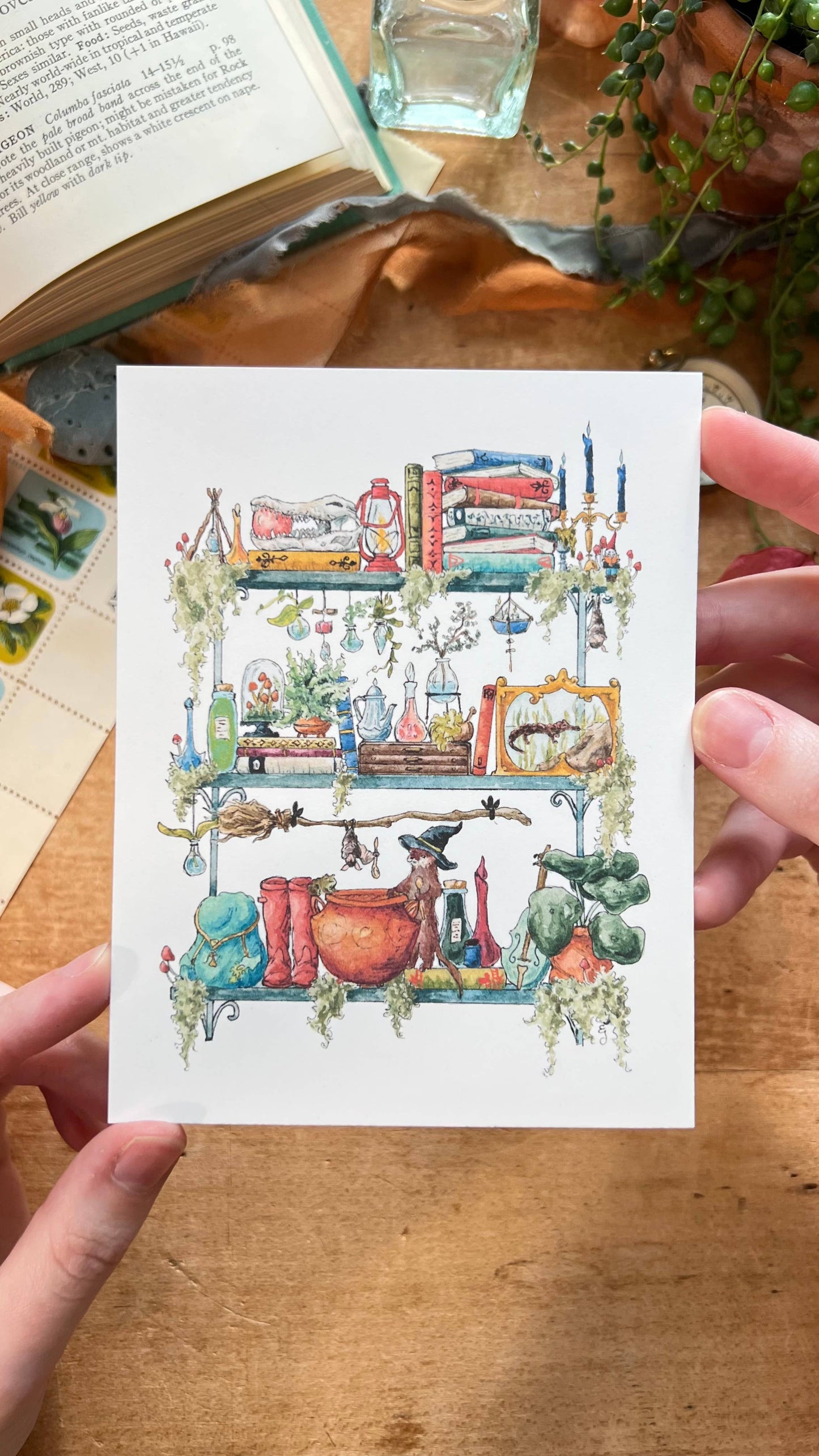 The Swamp Witch's Shelves Postcard