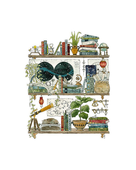 The Astronomer's Shelves Postcard