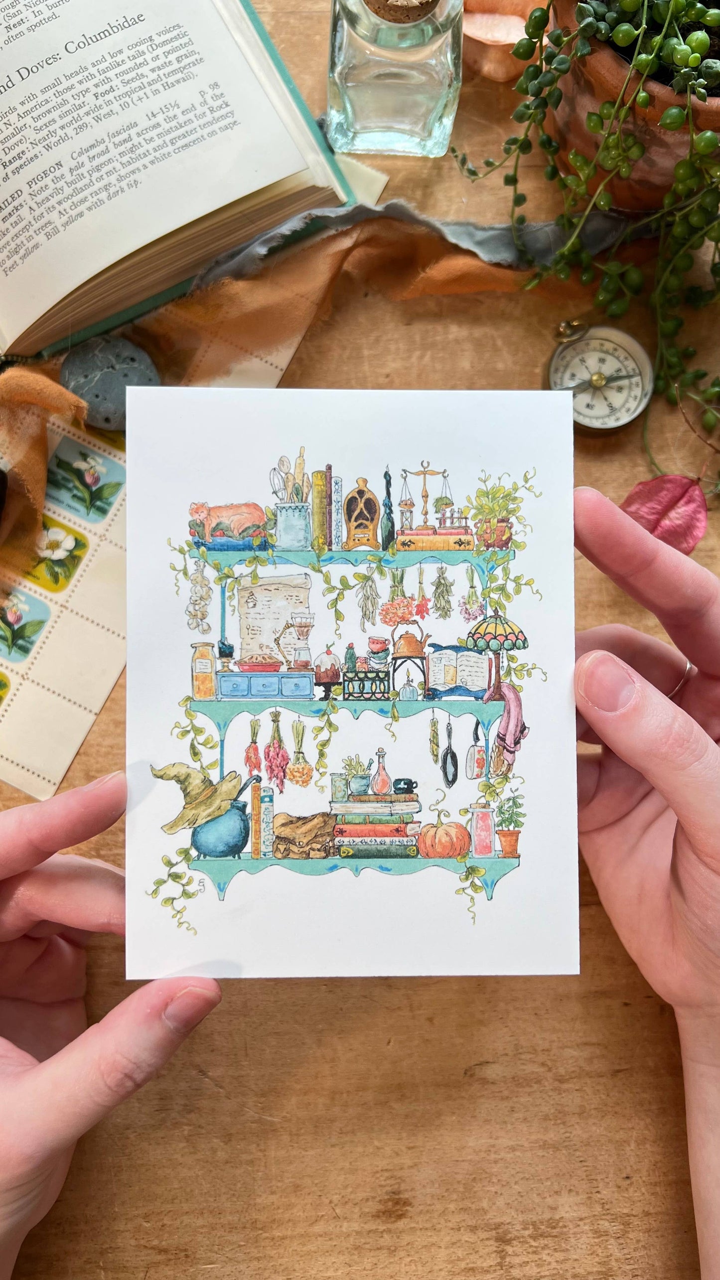 The Kitchen Witch's Shelves Postcard