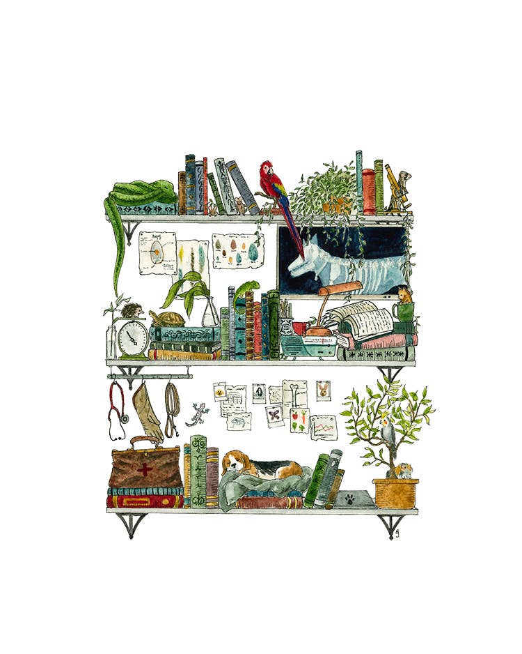 The Veterinarian's Shelves Postcard